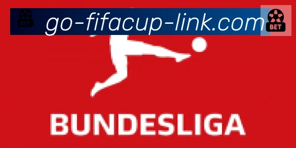 FIFA世界杯比分官方网站合作伙伴