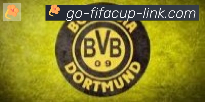 FIFA世界杯比分官方网站合作伙伴