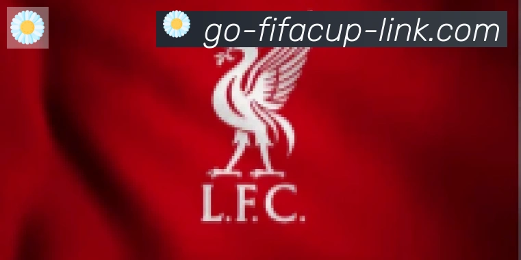 FIFA世界杯比分官方网站合作伙伴